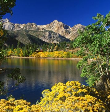 Beautiful Nature of California