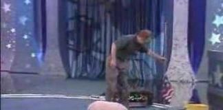 Smart and Cute Pig Video