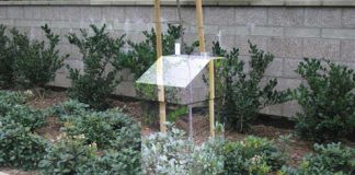 How to Make the City More Beautiful