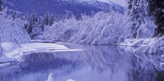 Awesome Winter Wallpapers