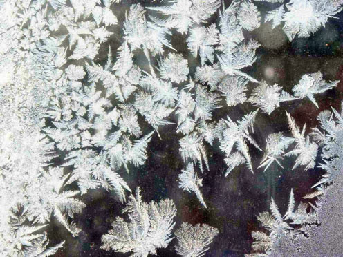 Snowflakes - Window Frost