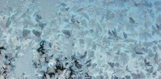 Window Frost Pictures