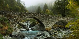 Fantastic Bridges Photos