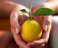 Are Detox Diets Intoxicating Us?