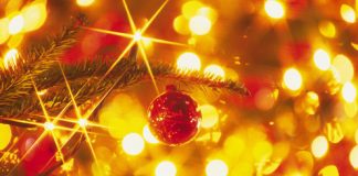 Happy New 2009 Year!