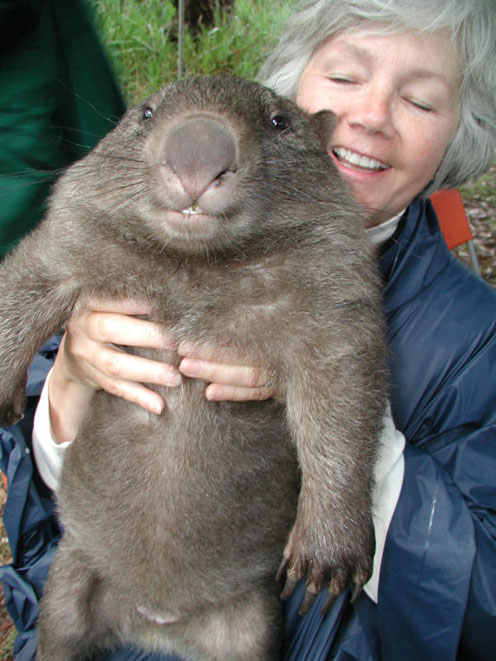 Smiling Wombat