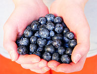 Blueberries for Your Heart Health