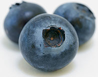 Memory Improving Foods