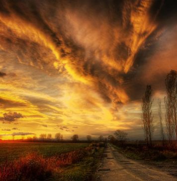 Amazing Roads Photos