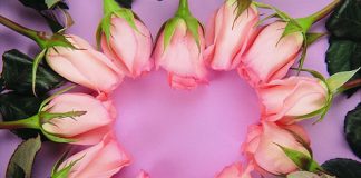 Valentine’s Day Wallpapers