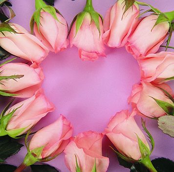 Valentine’s Day Wallpapers