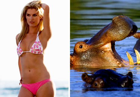 Tanned Girl and Hippo