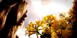 New Summer Fragrances for Women