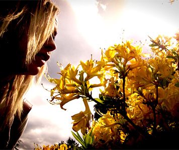 New Summer Fragrances for Women