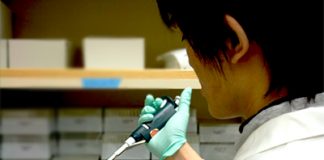 “Fat Controller” Enzyme Maybe Key to Preventing Obesity