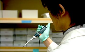 “Fat Controller” Enzyme Maybe Key to Preventing Obesity