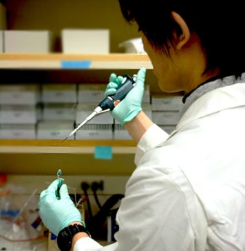 “Fat Controller” Enzyme Maybe Key to Preventing Obesity