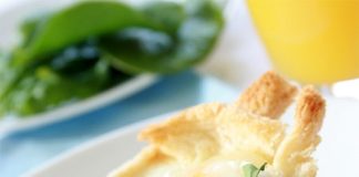 Diet-Control Mechanism in Brain Discovered