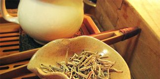 White Tea Helps Lose Weight