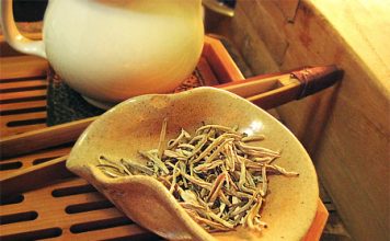 White Tea Helps Lose Weight