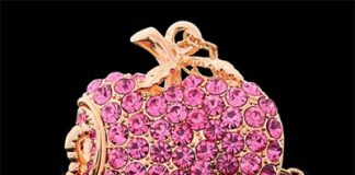 Cherry and Apple around Your Neck and Computer