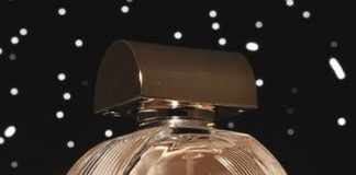 New Idole d'Armani Fragrance