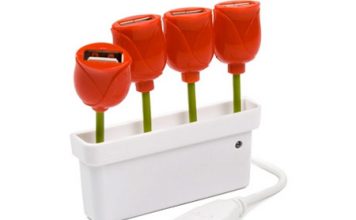 A USB 4 Port Hub Blooming on Your Desk