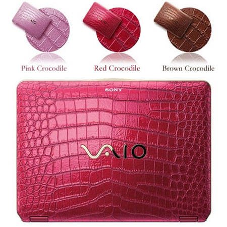 Sony VAIO Fashionable Laptop