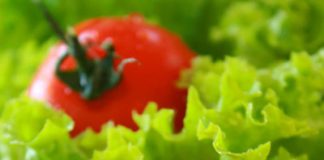 Vegetarians Run Less Risk of Developing Certain Types of Cancer