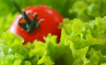 Vegetarians Run Less Risk of Developing Certain Types of Cancer