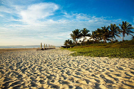 Beach Sand