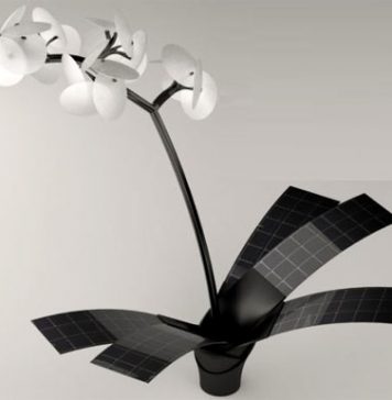 Orchid Lamp Orkys