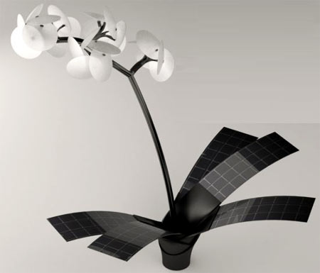 Orchid Lamp Orkys