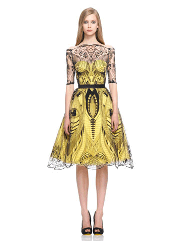 Alexander McQueen Collection Dress