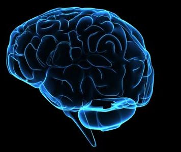 Our Brain Stores Memories That Seem Forgotten