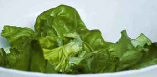 Healthy Eating Weakens Health of the British