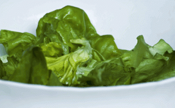 Healthy Eating Weakens Health of the British