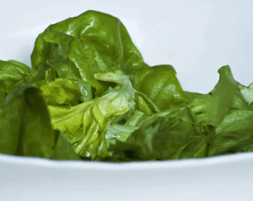 Healthy Eating Weakens Health of the British