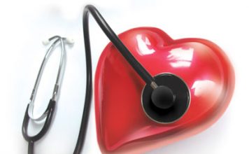 Fully Functional Heart Muscle Engineered