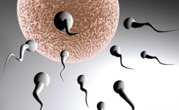 Anti-ageing Cure Found in Sperm