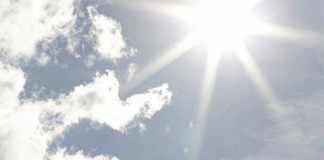 Vitamin D Helps Cancer Patients Survive