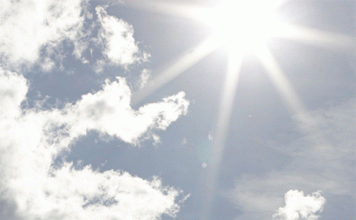 Vitamin D Helps Cancer Patients Survive