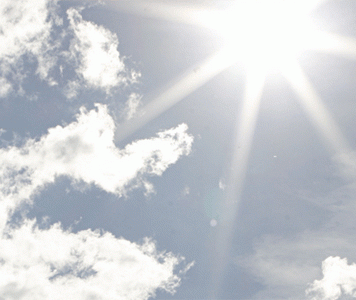 Vitamin D Helps Cancer Patients Survive