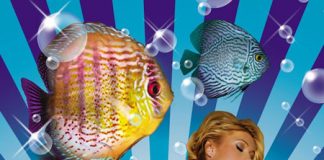 Paris Hilton Launches Bikini Line