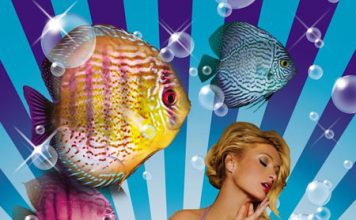 Paris Hilton Launches Bikini Line