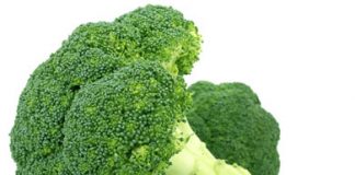 Broccoli Improves Memory and Intelligence, Study Finds
