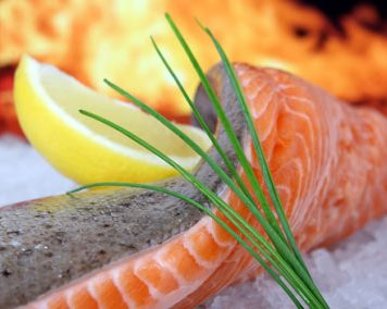 Fish Oil Slows Down Aging