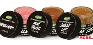 Brand New Delicious Lush Lip Scrubs