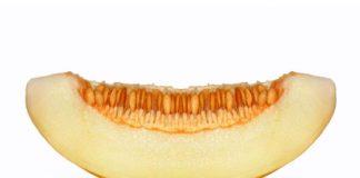 Melon Protects from Breast Cancer?