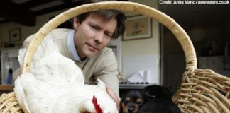 A Hen Whose Mother Instincts Took It to the Doghouse